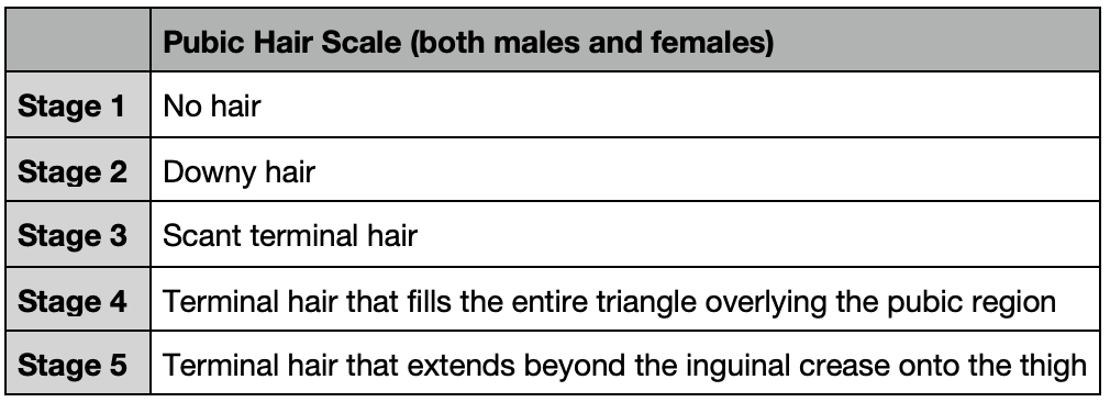 Pubic Hair Scale